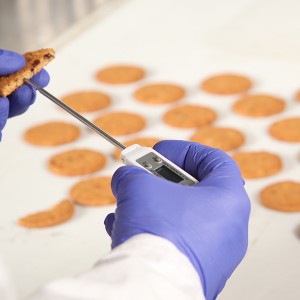 IMG 4608
